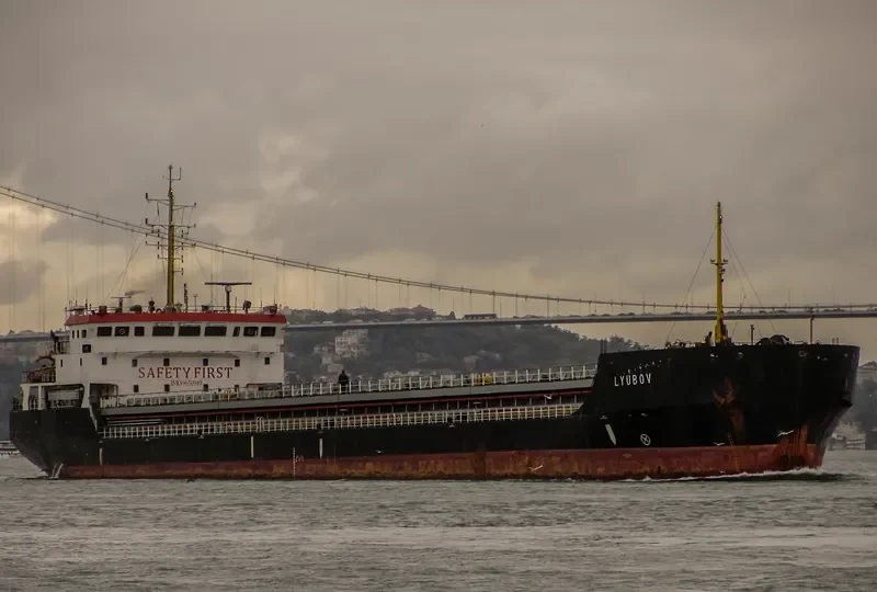 TIBER RIVER General Cargo IMO 9650949 photo 7