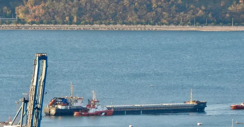 TIBER RIVER General Cargo IMO 9650949 photo 8