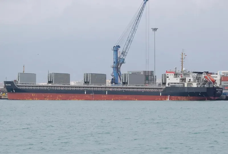 NIKOLAYEVICH General Cargo IMO 9650951