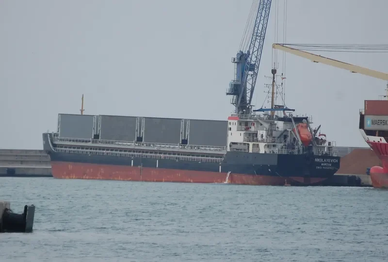 NIKOLAYEVICH General Cargo IMO 9650951 photo 2