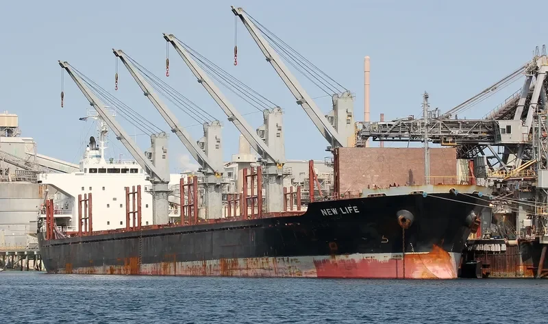 NEW LIFE Bulk Carrier IMO 9650987