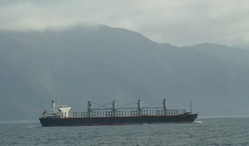 NEW LIFE Bulk Carrier IMO 9650987 photo 2