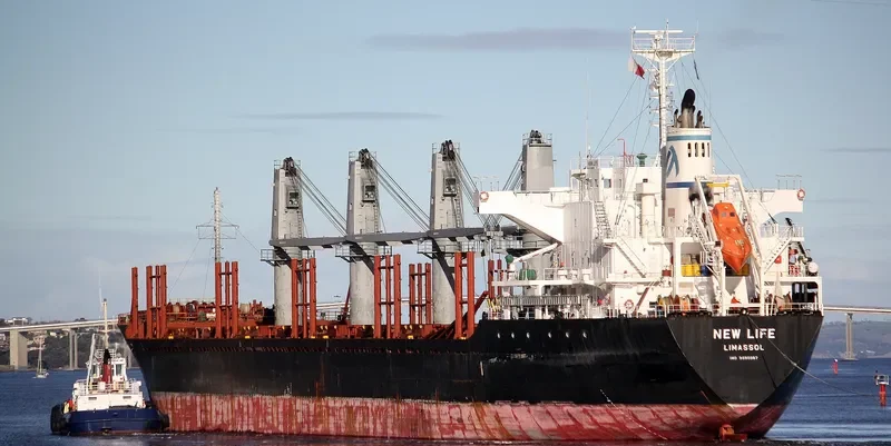 NEW LIFE Bulk Carrier IMO 9650987 photo 3