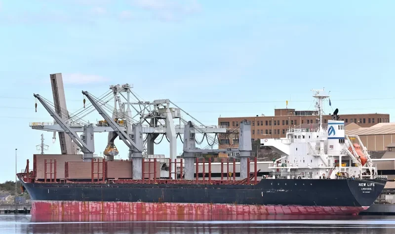 NEW LIFE Bulk Carrier IMO 9650987 photo 4