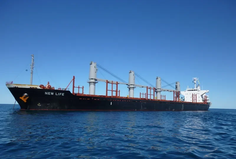 NEW LIFE Bulk Carrier IMO 9650987 photo 5