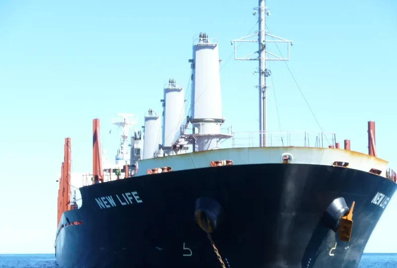NEW LIFE Bulk Carrier IMO 9650987 photo 6