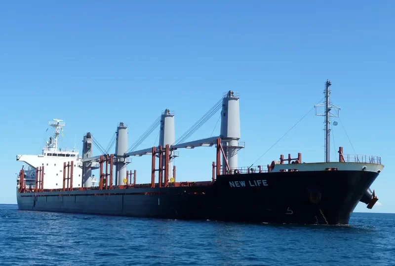 NEW LIFE Bulk Carrier IMO 9650987 photo 7