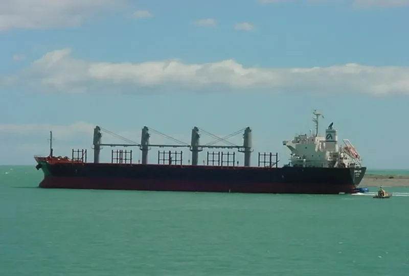 NEW LIFE Bulk Carrier IMO 9650987 photo 8