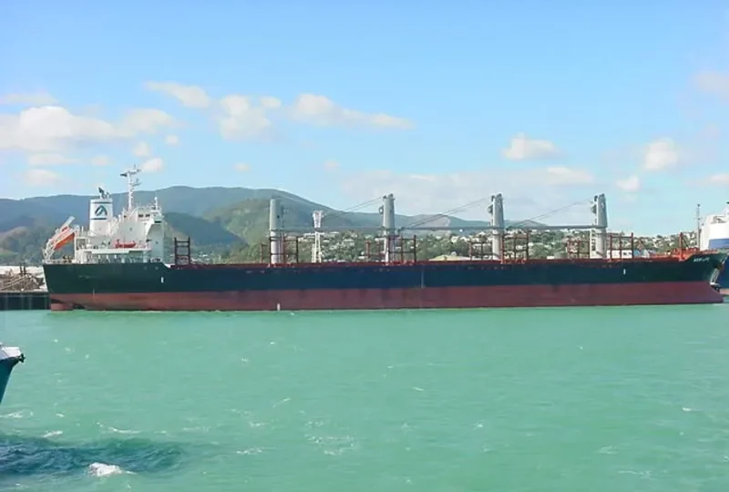 NEW LIFE Bulk Carrier IMO 9650987 photo 9
