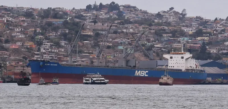 ALAM SAYANG Bulk Carrier IMO 9651034