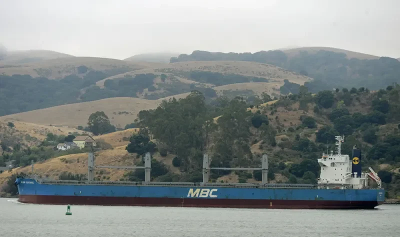 ALAM SAYANG Bulk Carrier IMO 9651034 photo 2
