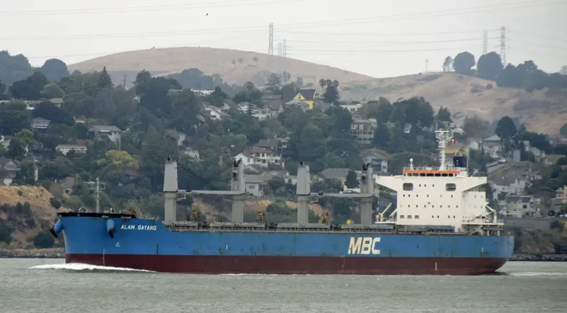 ALAM SAYANG Bulk Carrier IMO 9651034 photo 3