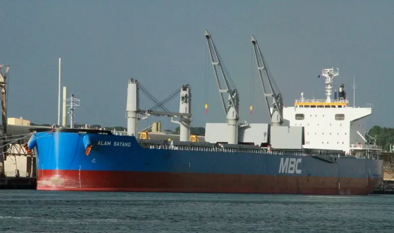 ALAM SAYANG Bulk Carrier IMO 9651034 photo 4