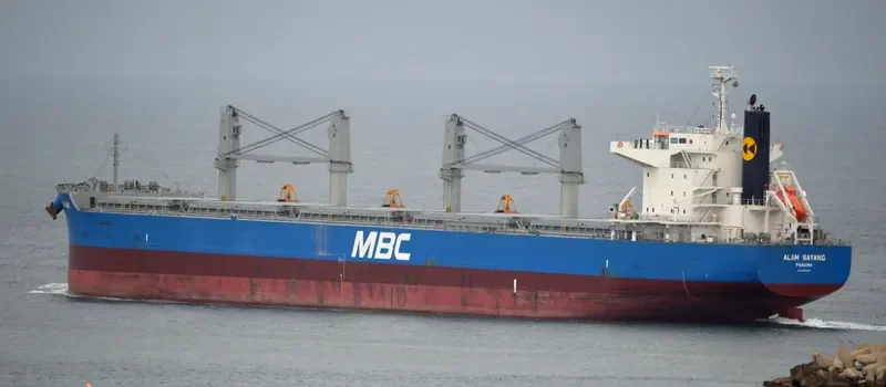 ALAM SAYANG Bulk Carrier IMO 9651034 photo 6
