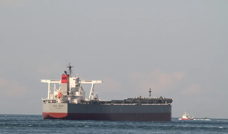 CAPE GREEN Bulk Carrier IMO 9651072 photo 2