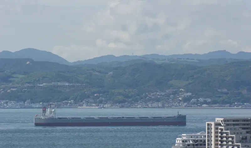CAPE GREEN Bulk Carrier IMO 9651072 photo 4