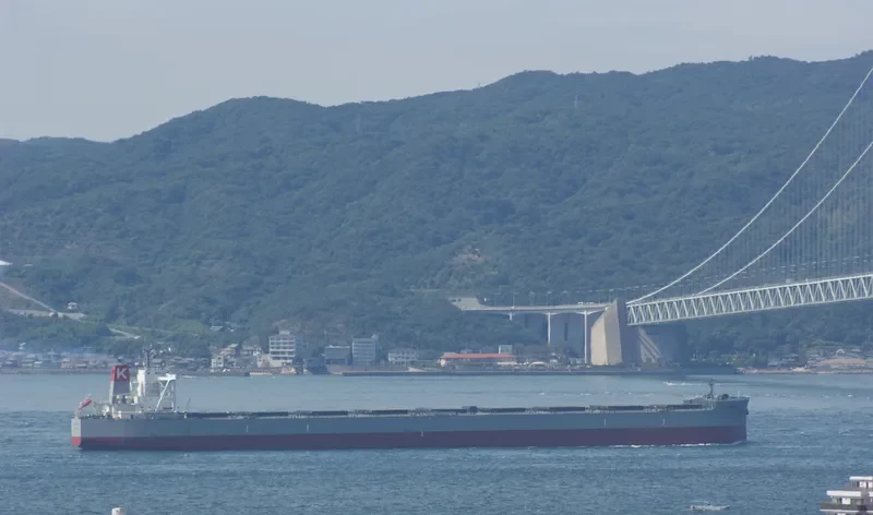 CAPE GREEN Bulk Carrier IMO 9651072 photo 5