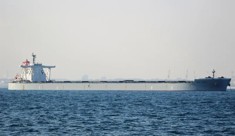 CAPE GREEN Bulk Carrier IMO 9651072 photo 7