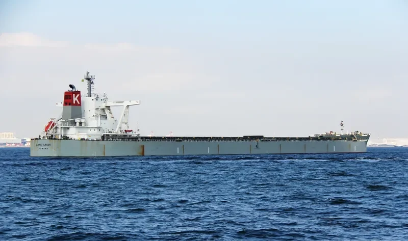 CAPE GREEN Bulk Carrier IMO 9651072 photo 8