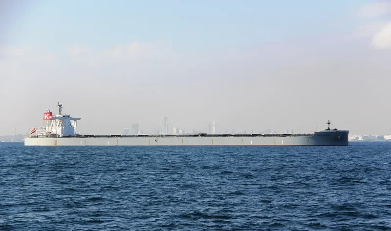 CAPE GREEN Bulk Carrier IMO 9651072 photo 10