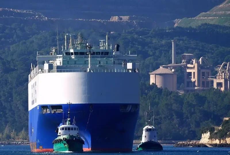 GLOVIS COURAGE General Cargo IMO 9651101 photo 9