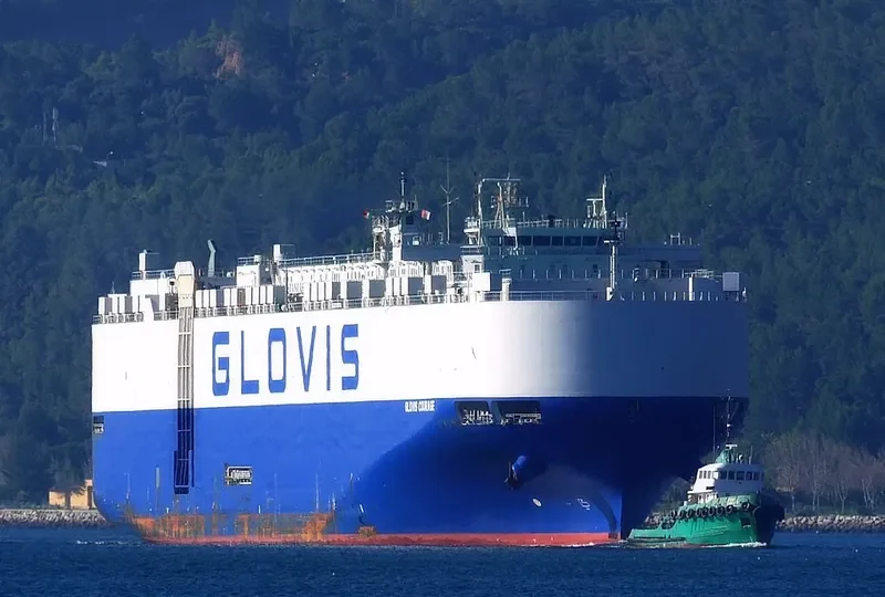 GLOVIS COURAGE General Cargo IMO 9651101 photo 10