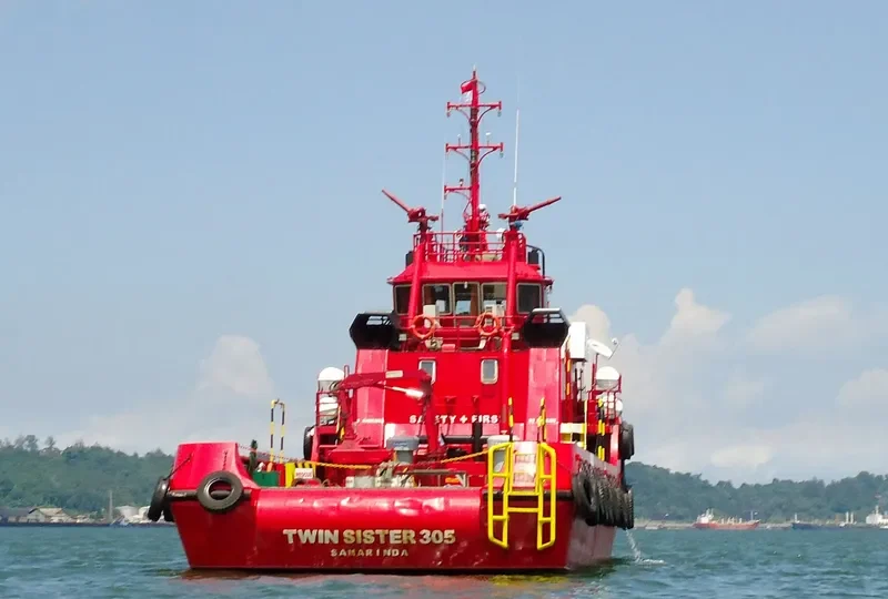 TWIN SISTER 305 General Cargo IMO 9651228 photo 2