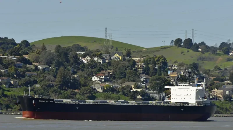MAGIC PLUTO Bulk Carrier IMO 9651280