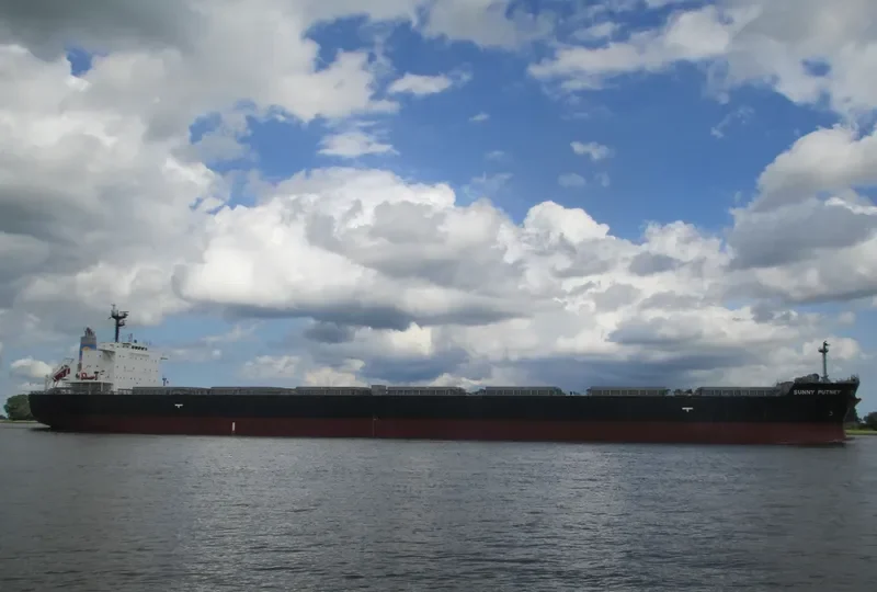 MAGIC PLUTO Bulk Carrier IMO 9651280 photo 4