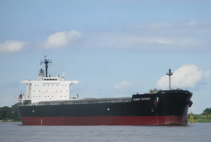 MAGIC PLUTO Bulk Carrier IMO 9651280 photo 5
