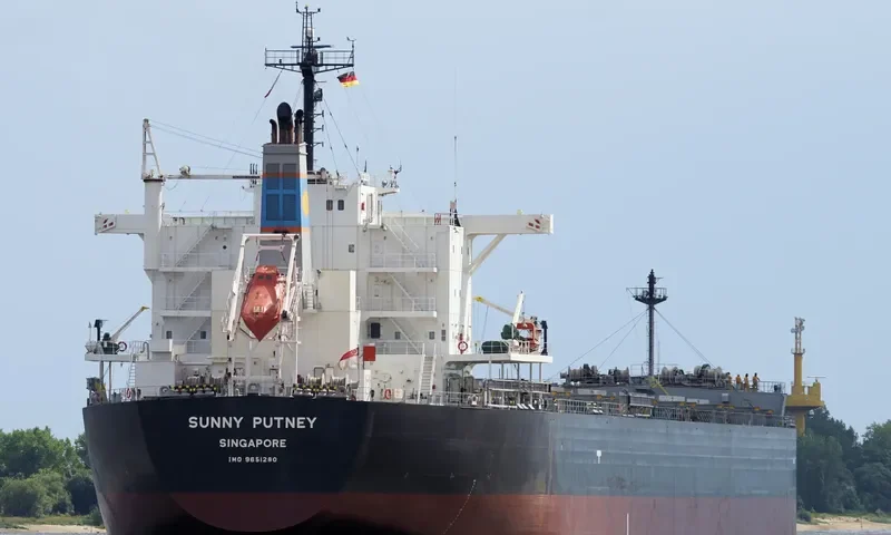 MAGIC PLUTO Bulk Carrier IMO 9651280 photo 6