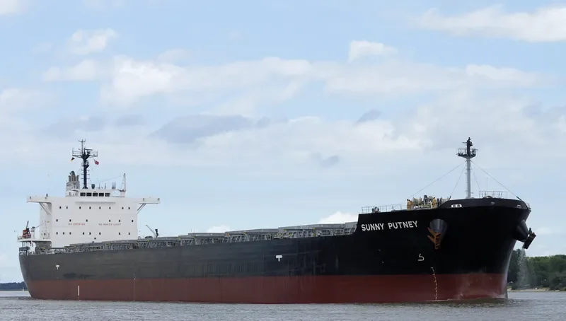 MAGIC PLUTO Bulk Carrier IMO 9651280 photo 8