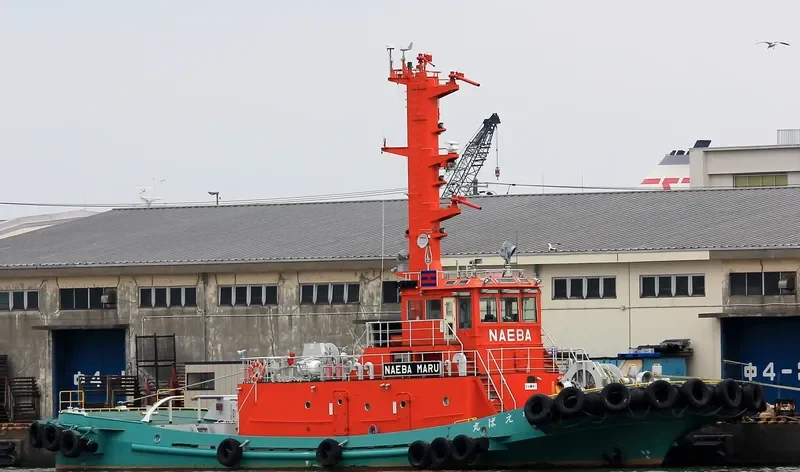 NAEBA MARU General Cargo IMO 9651450 photo 2