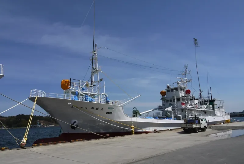 SEISHO MARU NO.88 General Cargo IMO 9651527