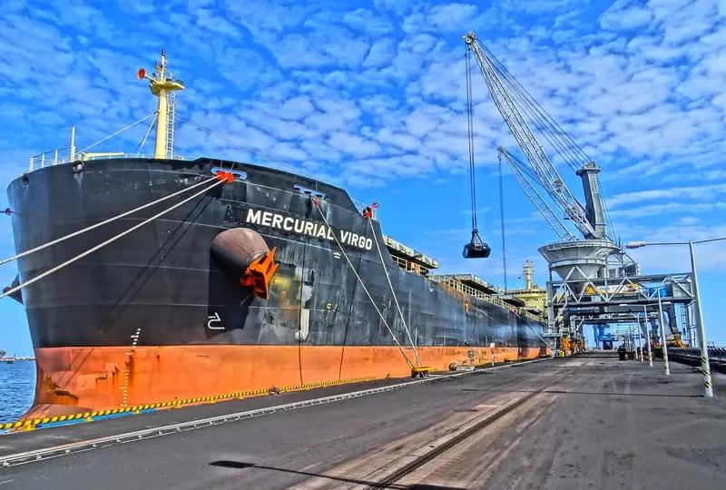 MERCURIAL VIRGO Bulk Carrier IMO 9651553