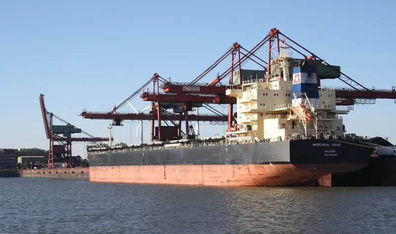 MERCURIAL VIRGO Bulk Carrier IMO 9651553 photo 3