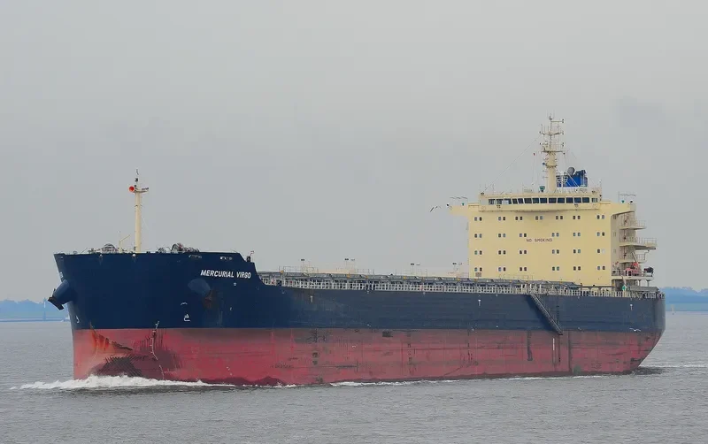 MERCURIAL VIRGO Bulk Carrier IMO 9651553 photo 4