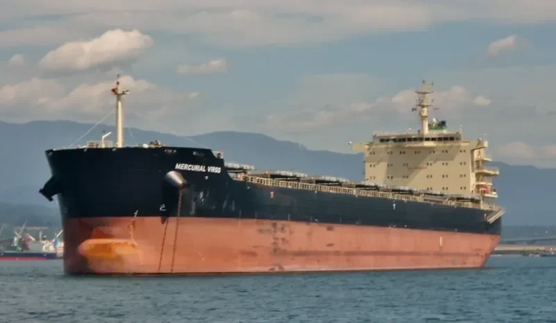MERCURIAL VIRGO Bulk Carrier IMO 9651553 photo 5