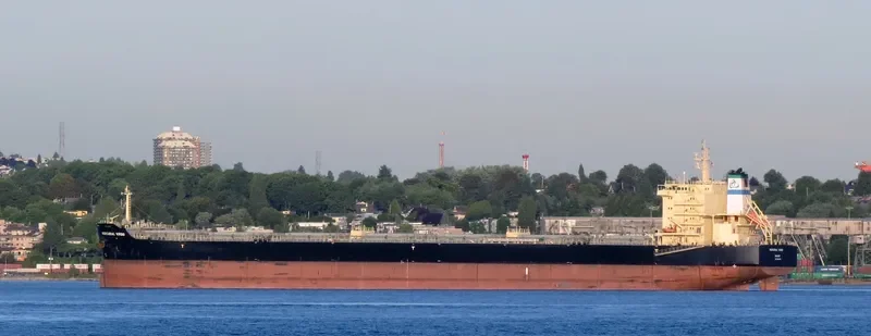 MERCURIAL VIRGO Bulk Carrier IMO 9651553 photo 6
