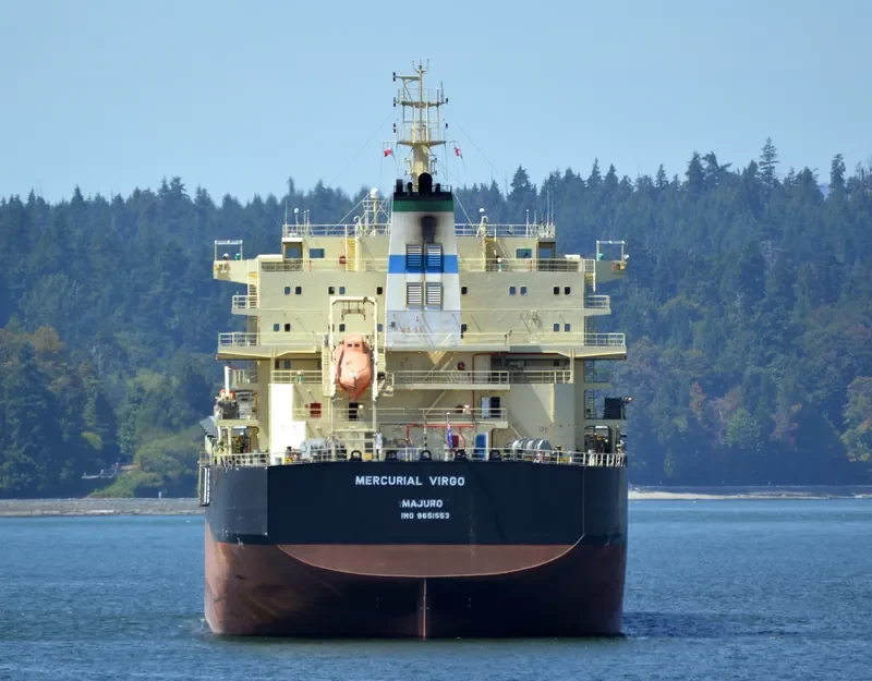MERCURIAL VIRGO Bulk Carrier IMO 9651553 photo 7