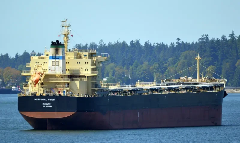 MERCURIAL VIRGO Bulk Carrier IMO 9651553 photo 8
