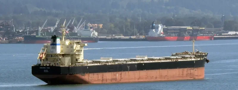 MERCURIAL VIRGO Bulk Carrier IMO 9651553 photo 9