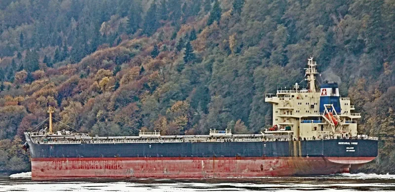 MERCURIAL VIRGO Bulk Carrier IMO 9651553 photo 10