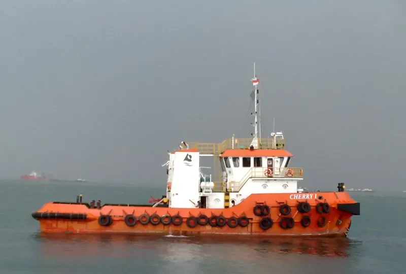 CHERRY I General Cargo IMO 9651668