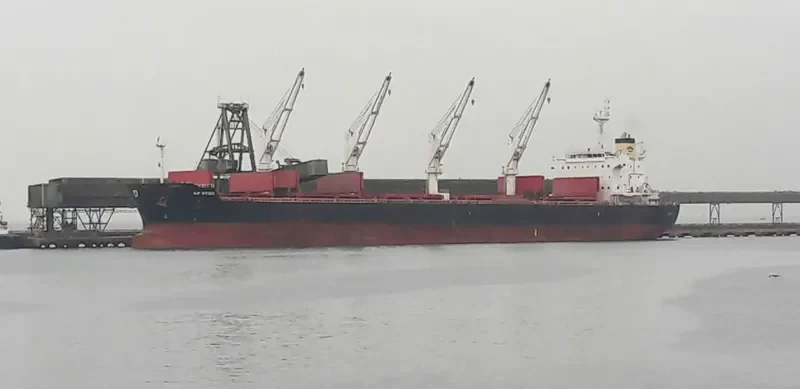AP STON Bulk Carrier IMO 9652131 photo 4