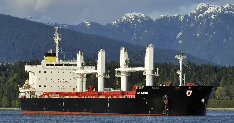 AP STON Bulk Carrier IMO 9652131 photo 6