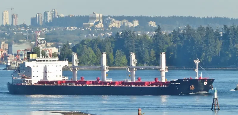 AP STON Bulk Carrier IMO 9652131 photo 7