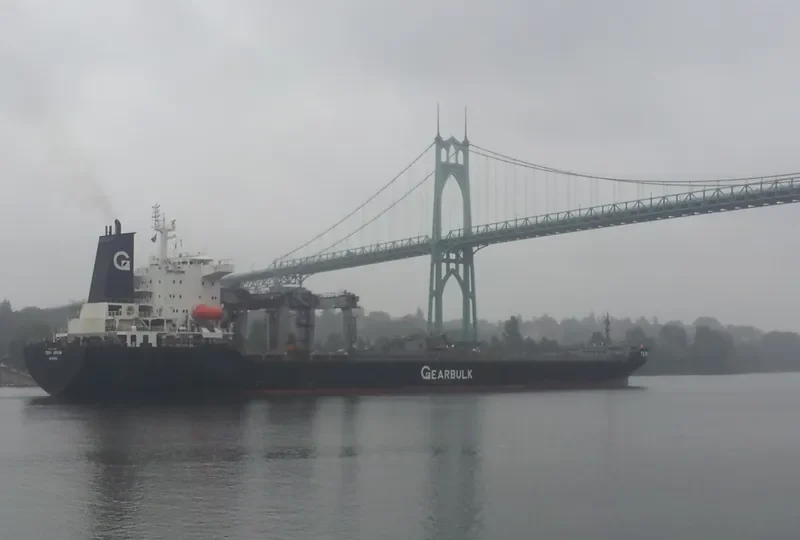 AP STON Bulk Carrier IMO 9652131 photo 9
