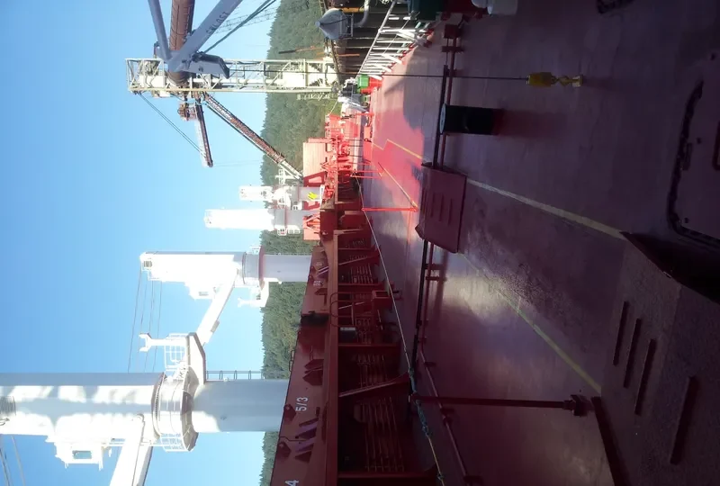 AP STON Bulk Carrier IMO 9652131 photo 10
