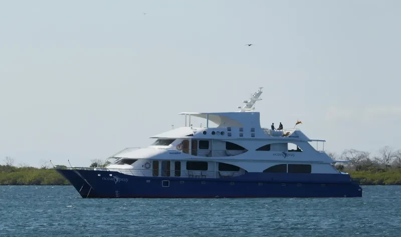 OCEAN SPRAY Passenger Ship IMO 9652284